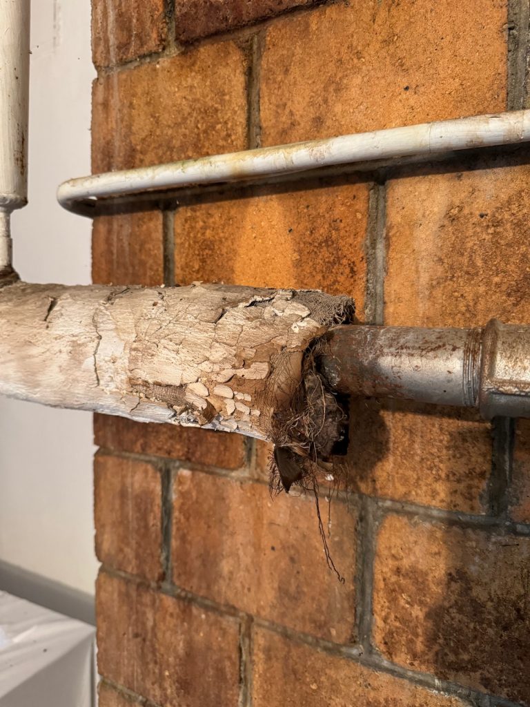 Présence d’amiante repérée lors d’un diagnostic immobilier diagnostics immobiliers Alphadiag à Aren, Oloron Sainte-Marie dans le Béarn et le pays-Basques, Pyrénées-Atlantiques