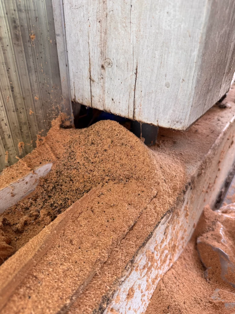 Sciure de bois d'un poteau dans un garage dû a des fourmis charpentières